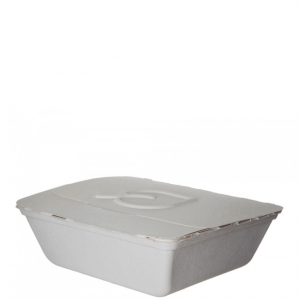 Folia™ (IV) Renewable & Compostable Take-Out Container, 8.25 x 7. 5 x 2.5"