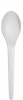 6 inch Plantware® Spoon
